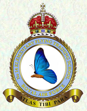 No 14 Elementary Flying Training School badge