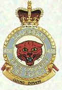 No 438 Squadron Badge
