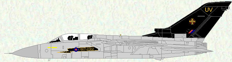 Tornado F Mk 3 of No 111 Squadron (Anniversary markings)