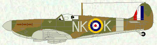 Spitfire IIA of No 118 Squadron