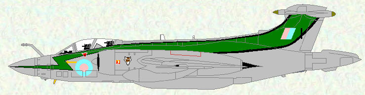 Buccaneer S Mk 2B of No 12 Squadron (75th Anniversary markings)