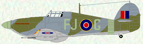 Hurricane IID of No 164 Squadron (June 1943)