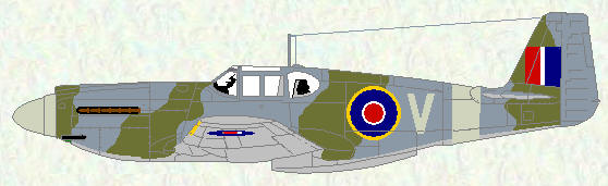 Mustang I of No 168 Squadron (standard day fighter scheme)
