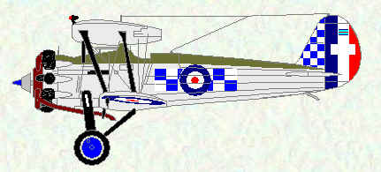 Bulldog II of No 19 Squadron (Commanding Officer's aircraft)