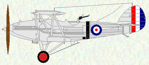 Audax of No 16 Squadron