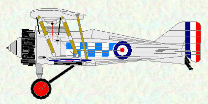Grebe of No 19 Squadron