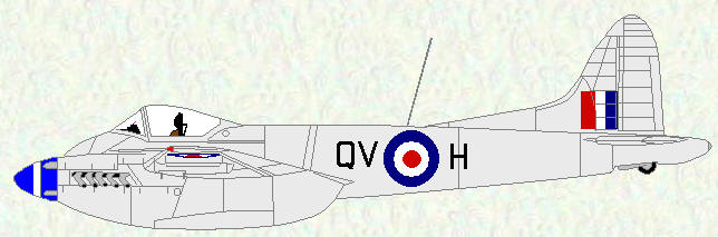 Hornet F Mk 3 of No 19 Squadron (all silver scheme)