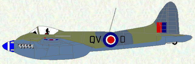 Hornet F Mk 3 of No 19 Squadron (Camouflage scheme)