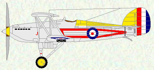 Hawker Fury I of No 1 squadron in standard squadron markings, upper fuselage, fin and wheel hubs painted yellow to indicate flight commander