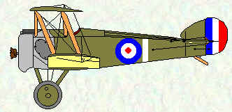 Camel of No 201 Squadron