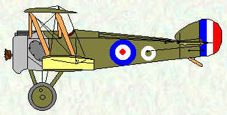 Camel of No 203 Squadron