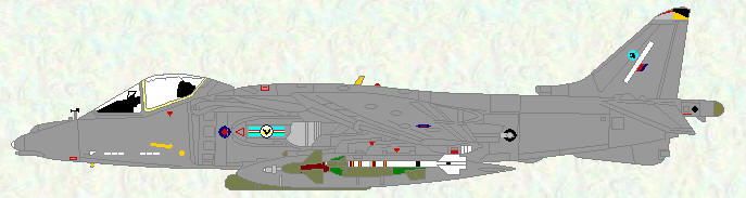 Harrier GR Mk 9 of No 20 Squadron