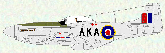 Mustang IV of No 213 Squadron (code letters in front of roundel)