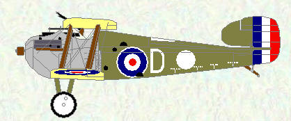 Dolphin of No 23 Squadron