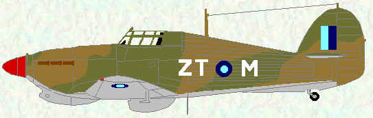 Hurricane IIb of No 258 Squadron (January 1943)