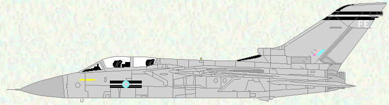 Tornado F Mk 3 of No 25 Squadron (early markings)