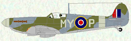 Spitfire IIA of No 278 Squadron