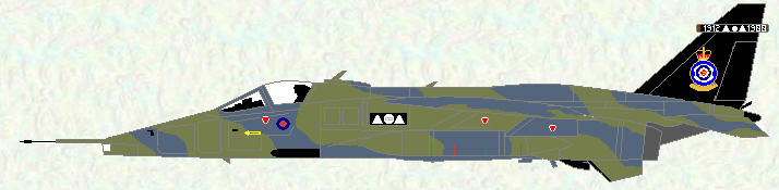 aguar GR Mk 1 of No 2 Squadron (Commemorative markings)