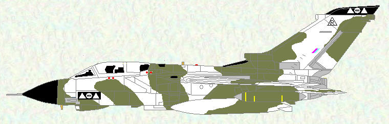 Tornado GR Mk 1A of No 2 Squadron (Winter camouflage)
