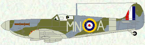 Spitfire IIA of No 350 Squadron