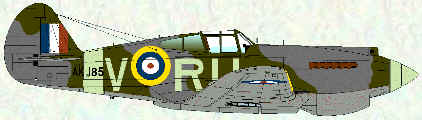 Tomahawk II of No 414 Squadron