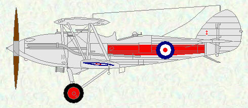 Demon of No 41 Squadron