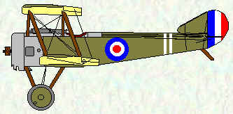 Pup of No 46 Squadron