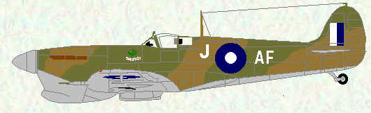 Spitfire VC of No 607 Squadron (early SEAC markings)