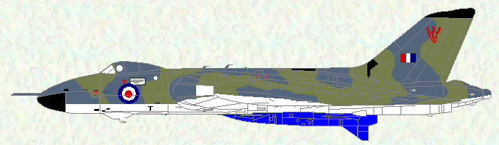 Vulcan B Mk 2 of No 617 Squadron (low level tactical scheme)