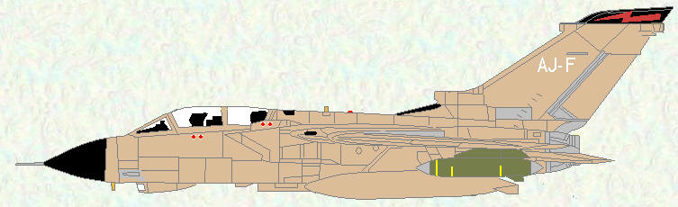 Tornado GR Mk 1 of No 617 Squadron (Gulf War scheme)