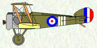 Camel of No 70 Squadron Mar - Nov 1918