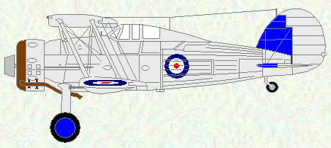 Gladiator I of No 72 Squadron (Silver scheme)