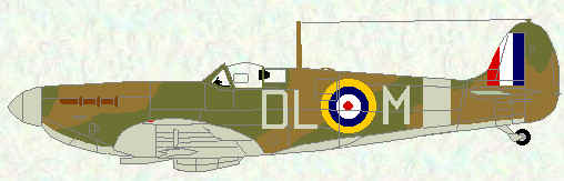 Spitfire IIA of No 91 Squadron