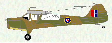 Auster V