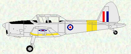 Chipmunk T Mk 10 - original markings