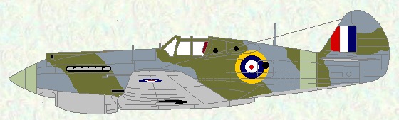 Tomahawk II as used by No 400 Squadron
