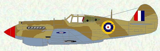 Tomahawk II as used by No 208 Squadron