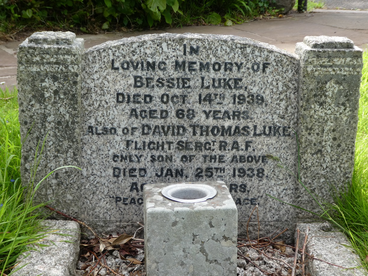 LUKE, DAVID THOMAS