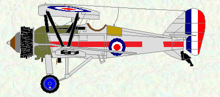 Siskin III of No 41 Squadron