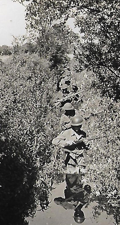 Ceykon 1