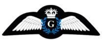 Reserve Pilot (Glider) Flying badge