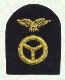 Pilots badge - other ranks