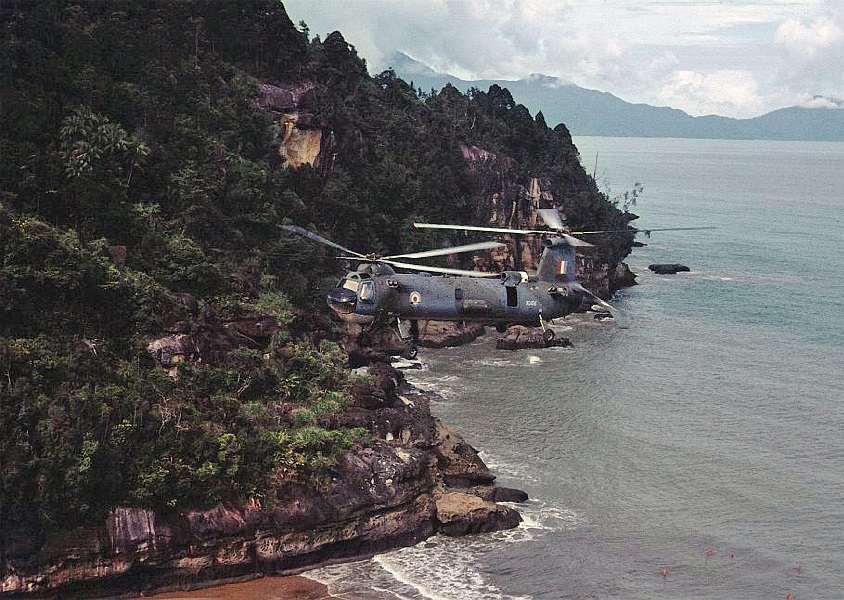 Gallery 2 - Image 13