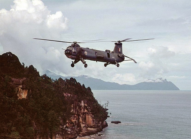 Gallery 2 - Image 11