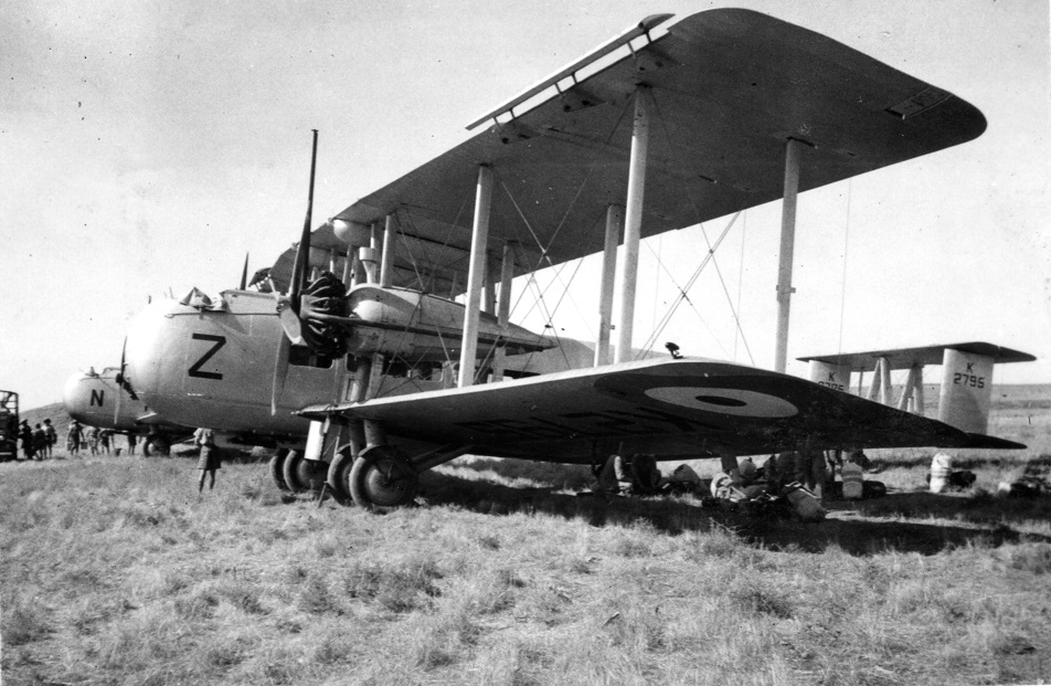 Gallery 1 - Image 12