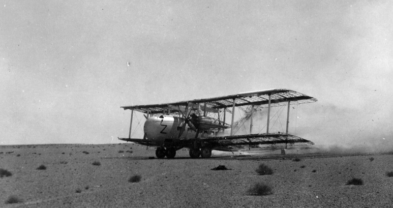 Gallery 1 - Image 29