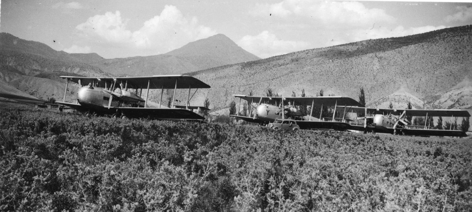 Gallery 1 - Image 33