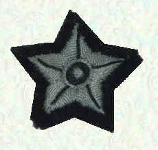 MT Driver Badge?