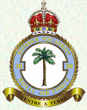No 30 Squadron badge