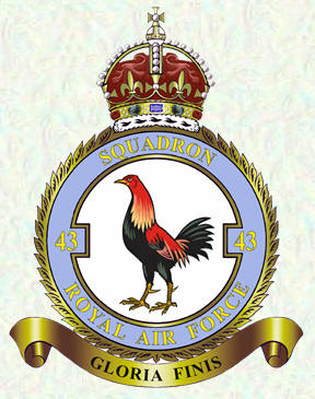 No 43 Squadron badge